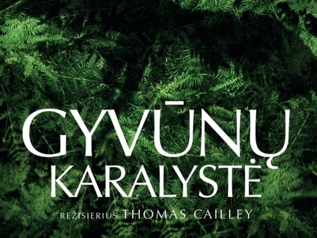 Gyvūnų karalystė