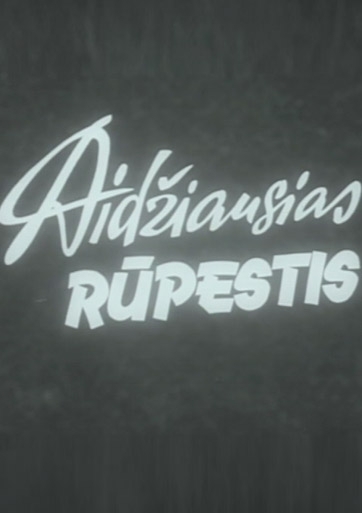 Didžiausias rūpestis