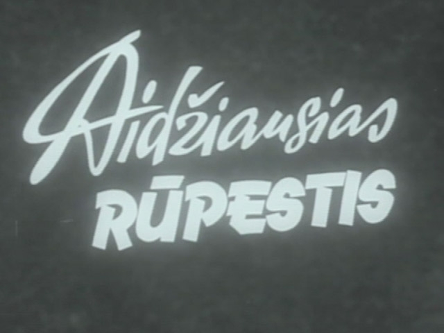 Didžiausias rūpestis