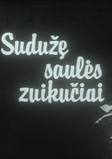 Sudužę saulės zuikučiai