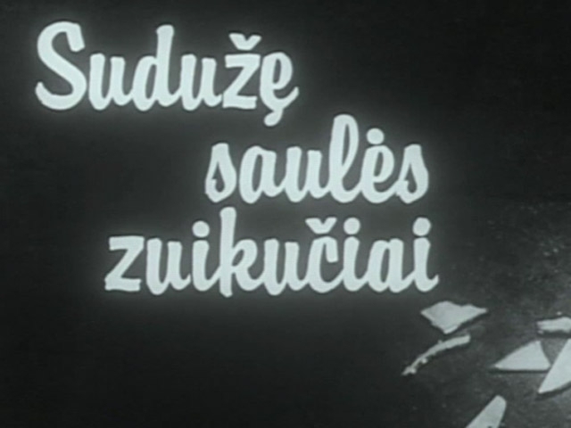 Sudužę saulės zuikučiai