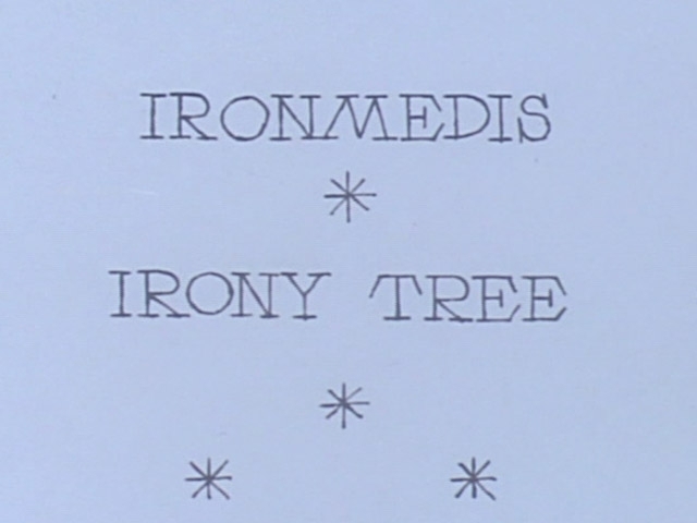 Ironmedis