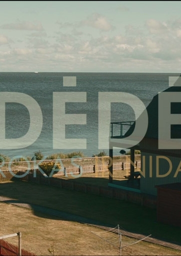 Dėdė, Rokas ir Nida