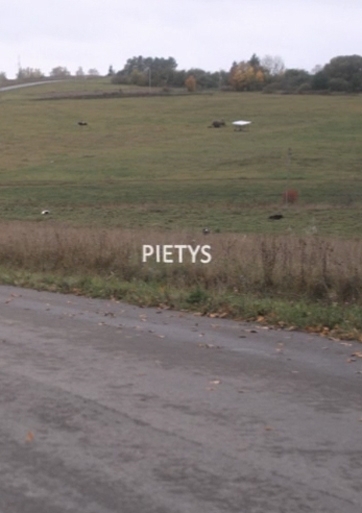 Pietys