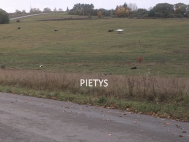 Pietys