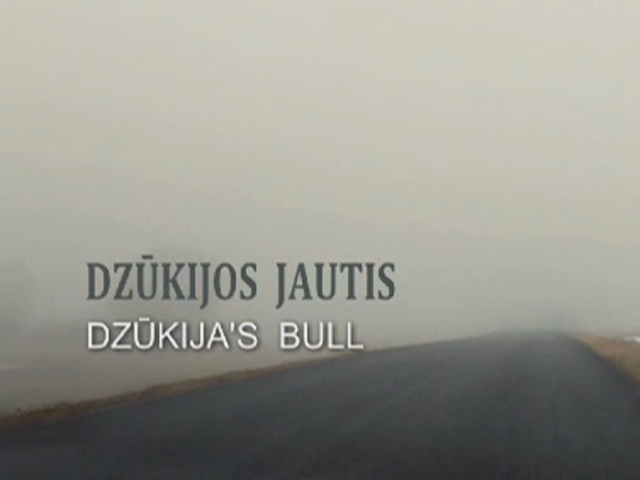 Dzūkijos jautis