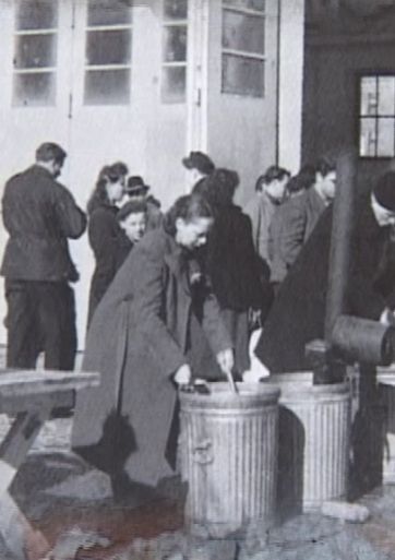 Dievo paukšteliai