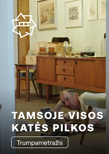 Tamsoje visos katės pilkos