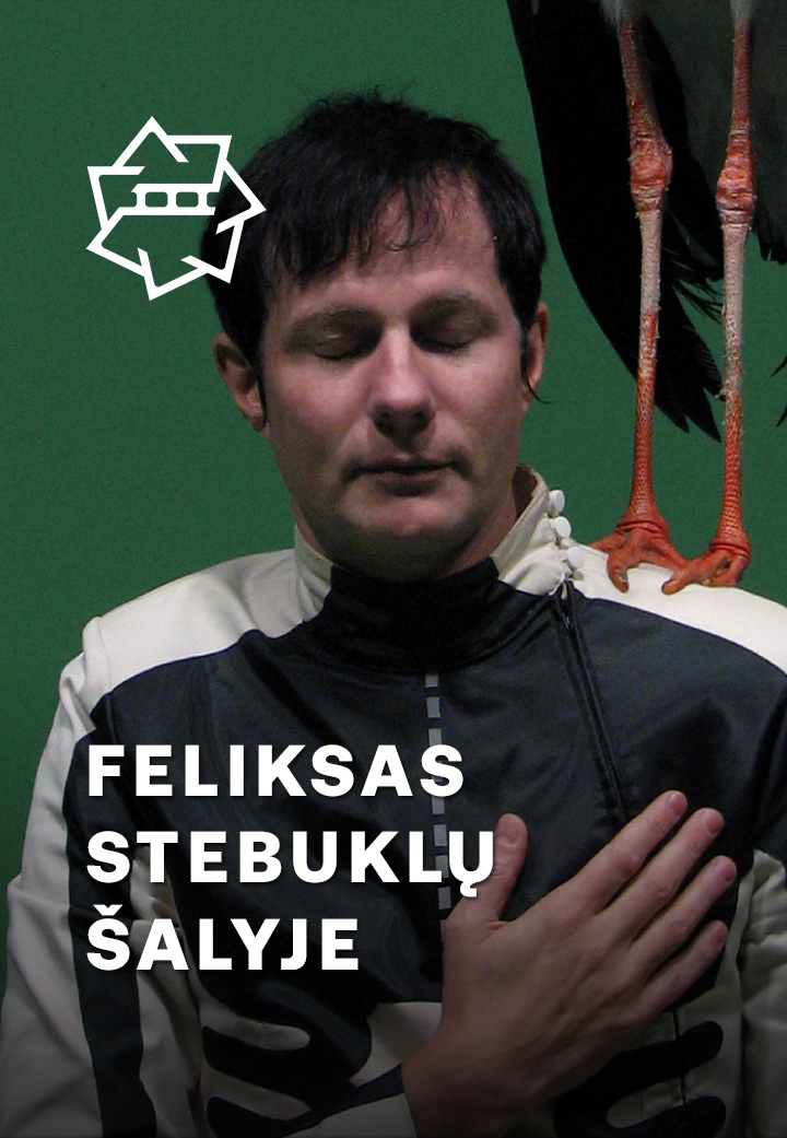 Felixas stebuklų šalyje / Felix in Wonderland