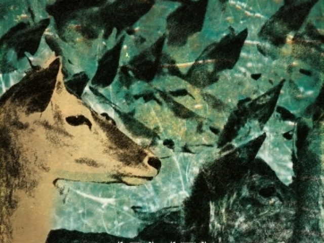 Animus Animalis (istorija apie žmones, žvėris ir daiktus)