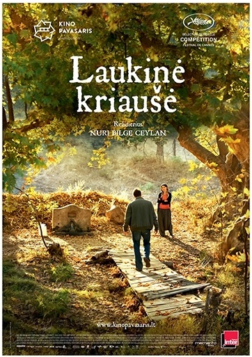 Laukinė kriaušė