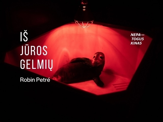 Iš jūros gelmių
